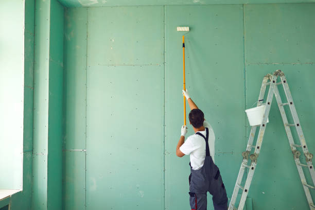 Best Residential Mold Inspection & Testing  in Brenham, TX