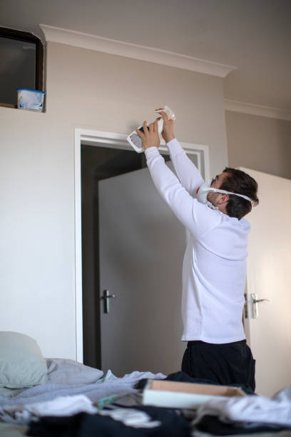 Professional Mold Removal in Brenham, TX