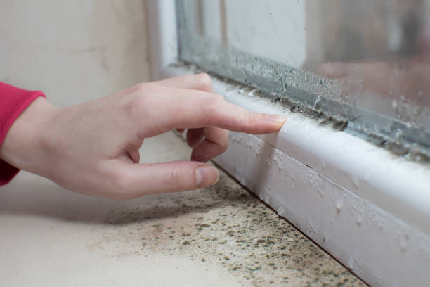 Mold Remediation for Vacation Homes in Brenham, TX